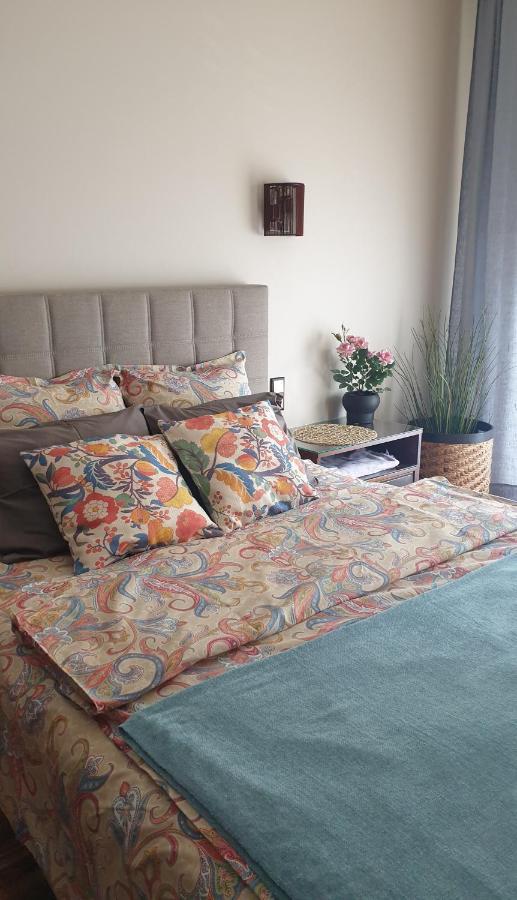 Apartament Moderna Francuska Park カトヴィツェ エクステリア 写真