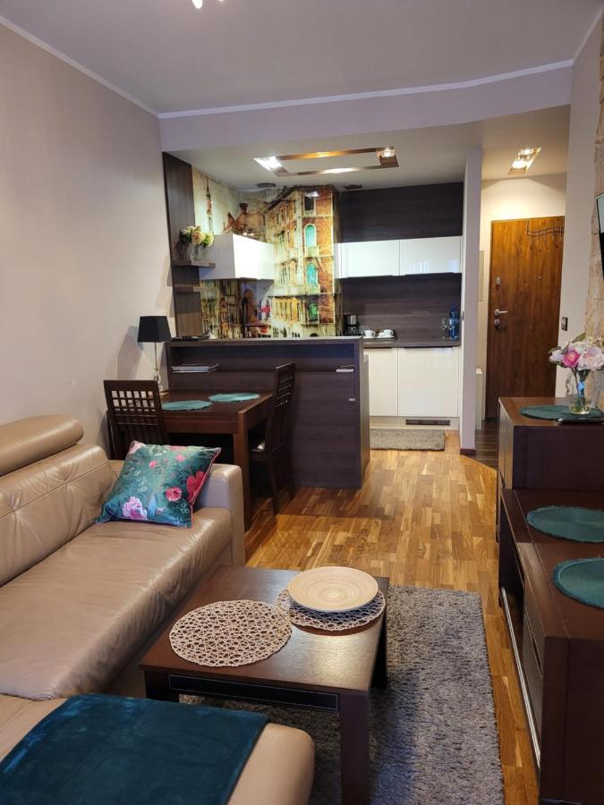 Apartament Moderna Francuska Park カトヴィツェ エクステリア 写真